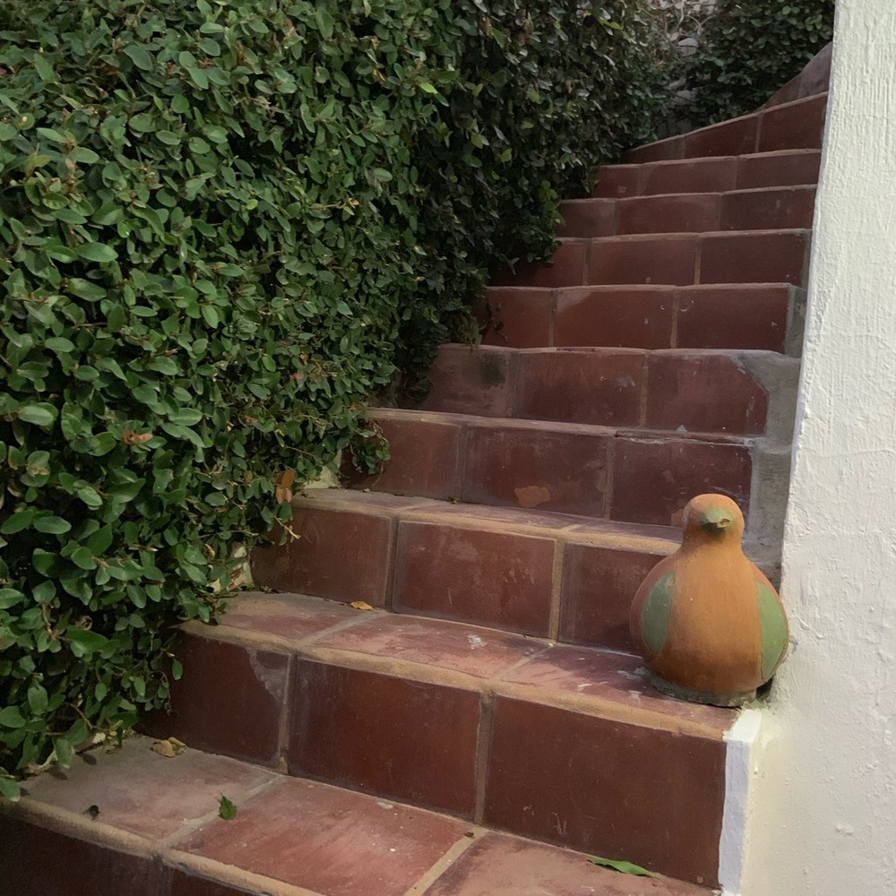 Meet your Posher, Susana